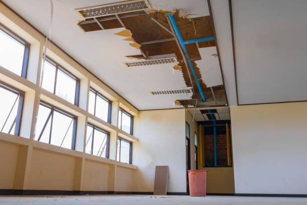 Best Flooded house restoration  in De Witt, NY