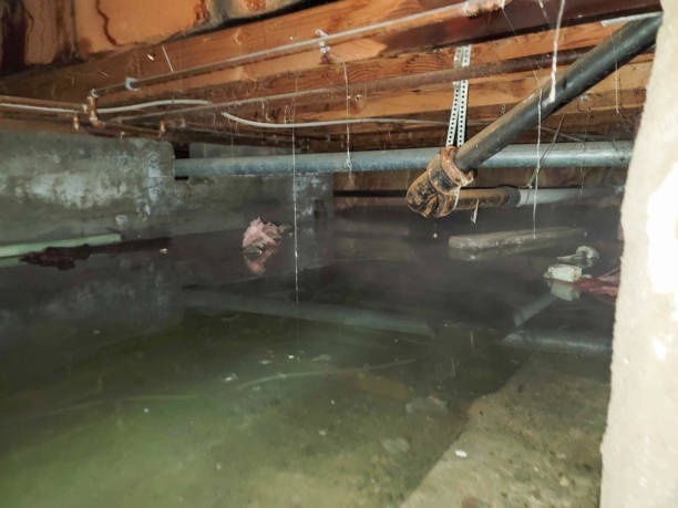 Best Commercial water damage restoration  in De Witt, NY