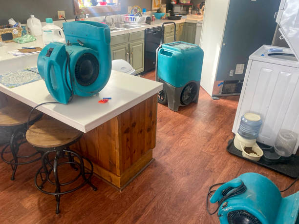 Best Local water damage restoration  in De Witt, NY
