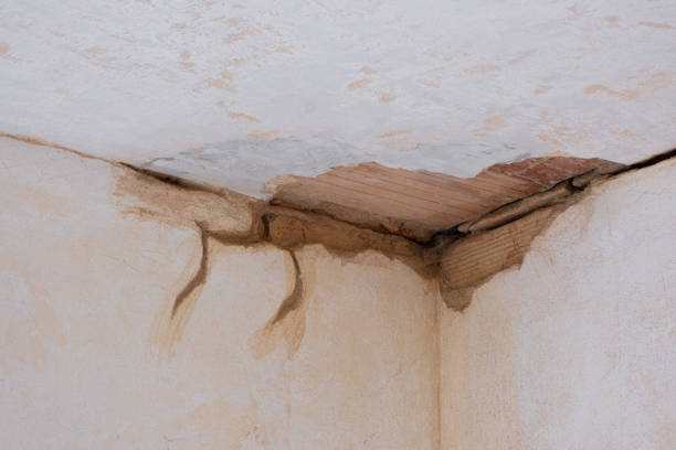 Best Flood restoration services  in De Witt, NY
