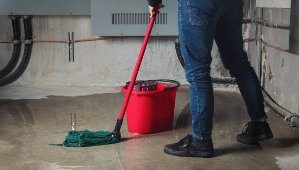 Best Flooded house restoration  in De Witt, NY