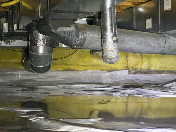 Best Water damage restoration near me  in De Witt, NY