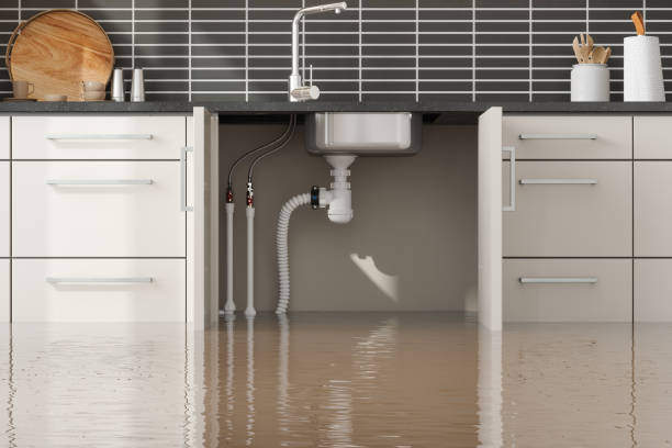Best Mold removal after water damage  in De Witt, NY